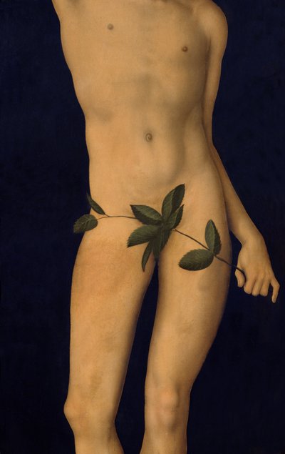 Adam (detail) by Lucas Cranach the Elder